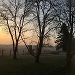 Kaept N Poldi 25192 Bunde (Lower Saxony)