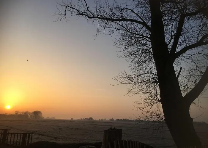 Kaept N Poldi 25192 *